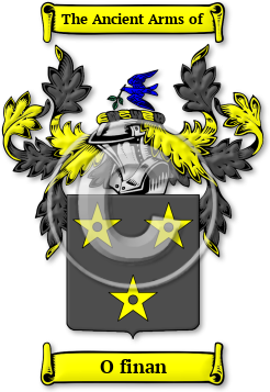 O finan Family Crest Download (jpg) Legacy Series - 150 DPI
